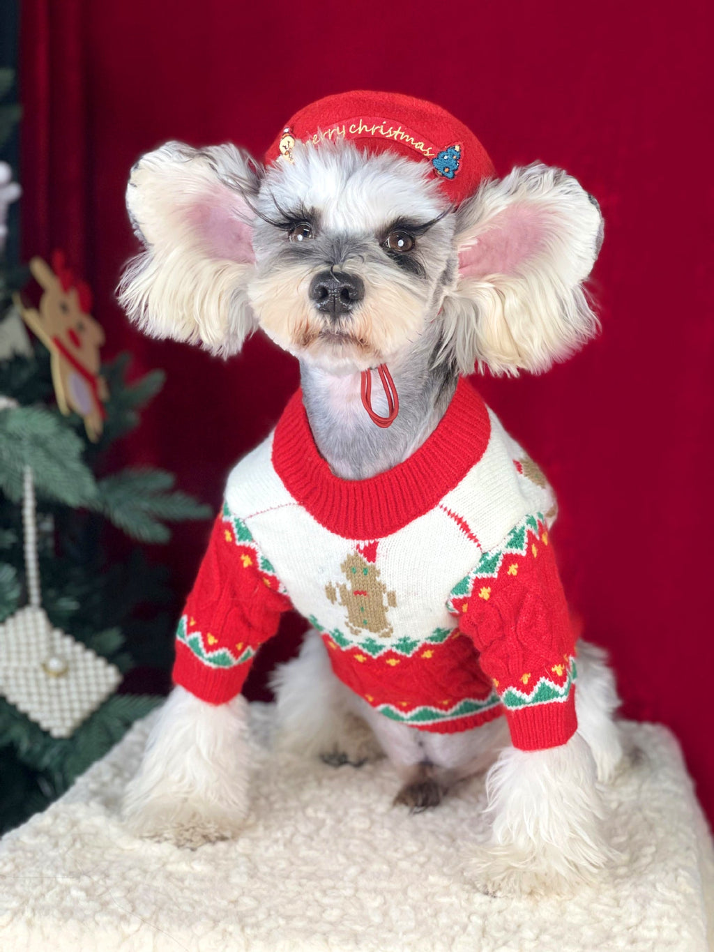 Christmas sweater+hat red XXL