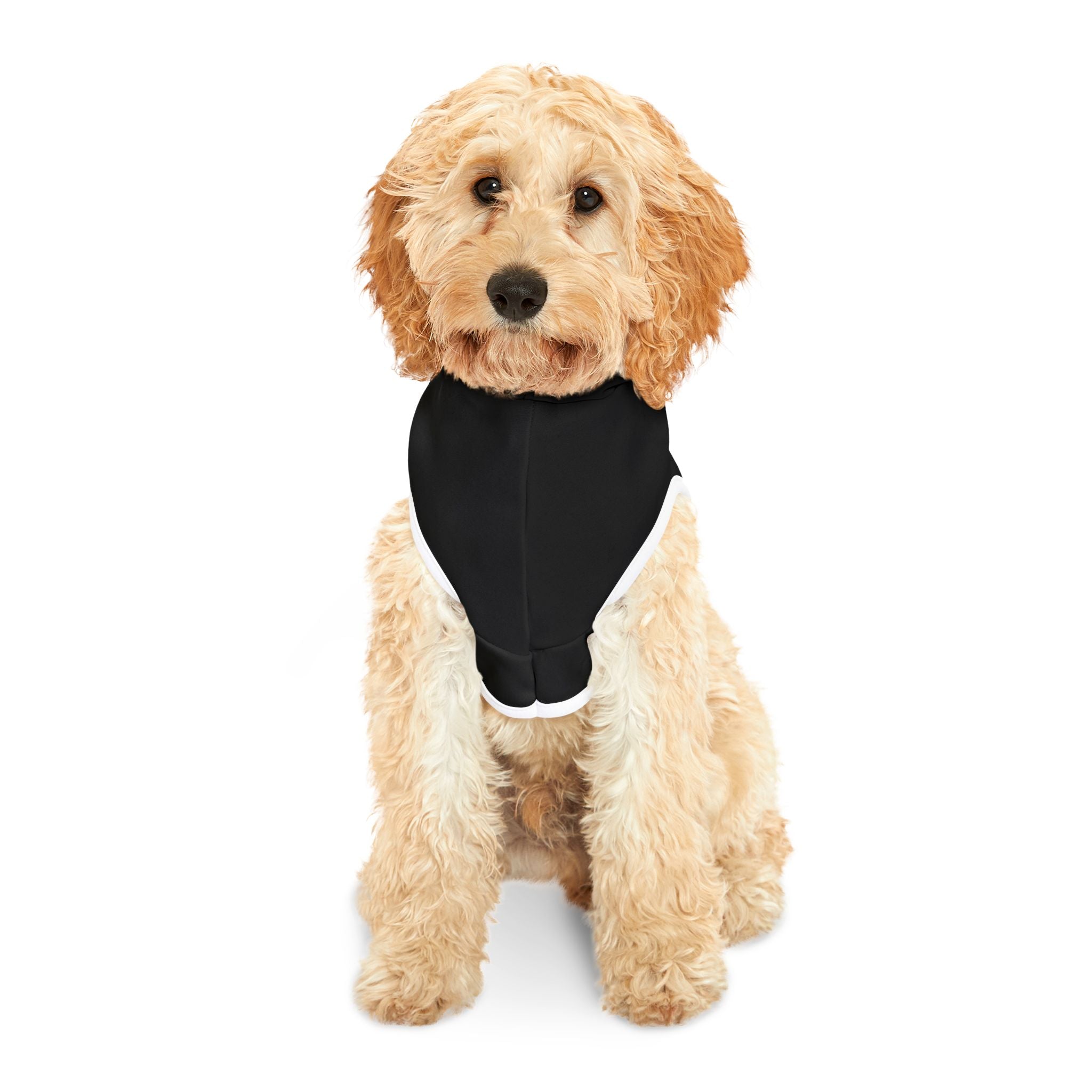Mildly Hostile Cat Hoodie – Black (Funny Cat Apparel)