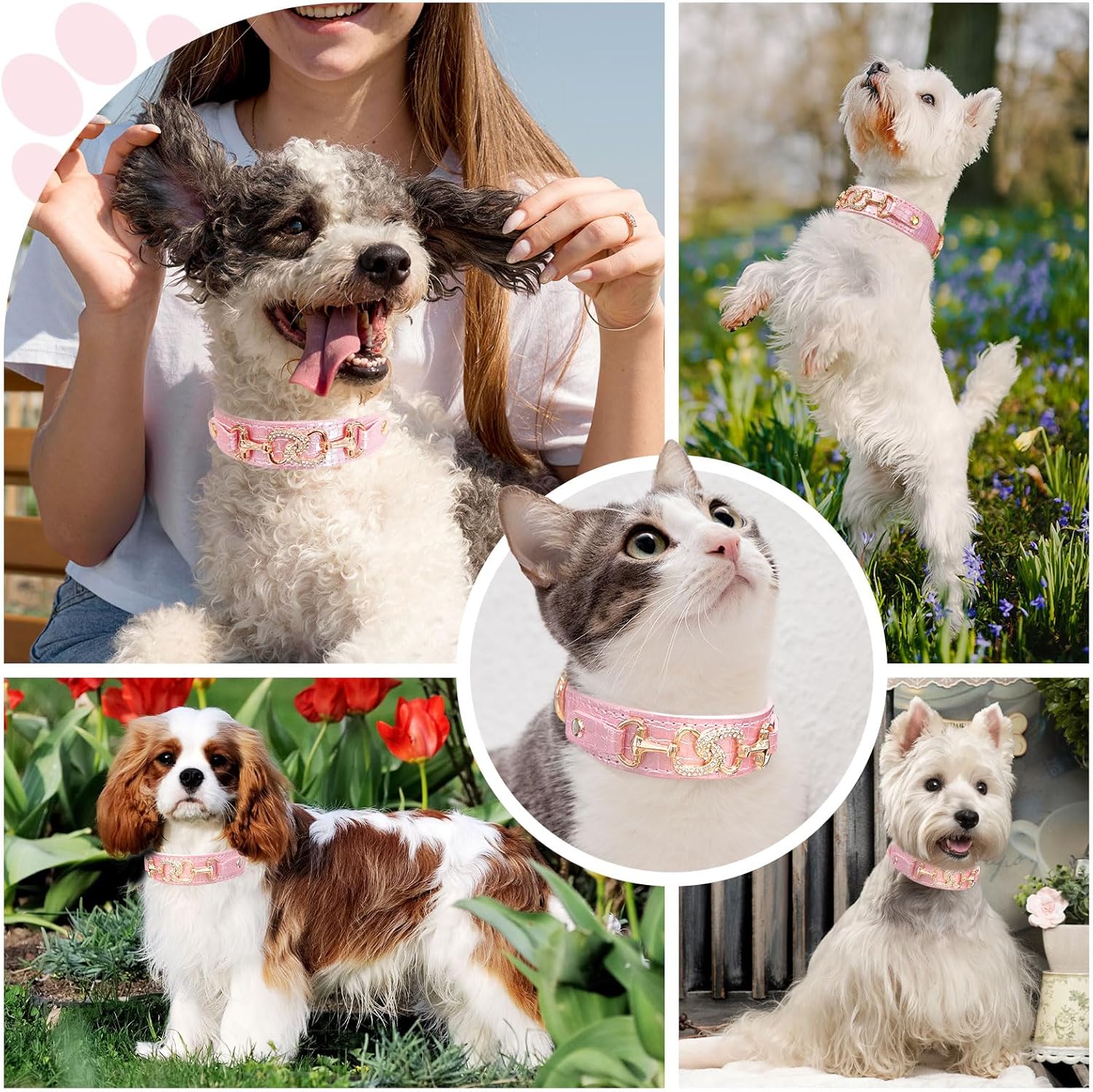 Luxury Crystal Heart Dog Collar – Pink & Purple Croc Texture