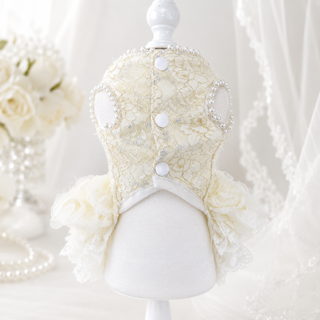 Handmade Luxury Pearl & Rose Lace Pet Dress