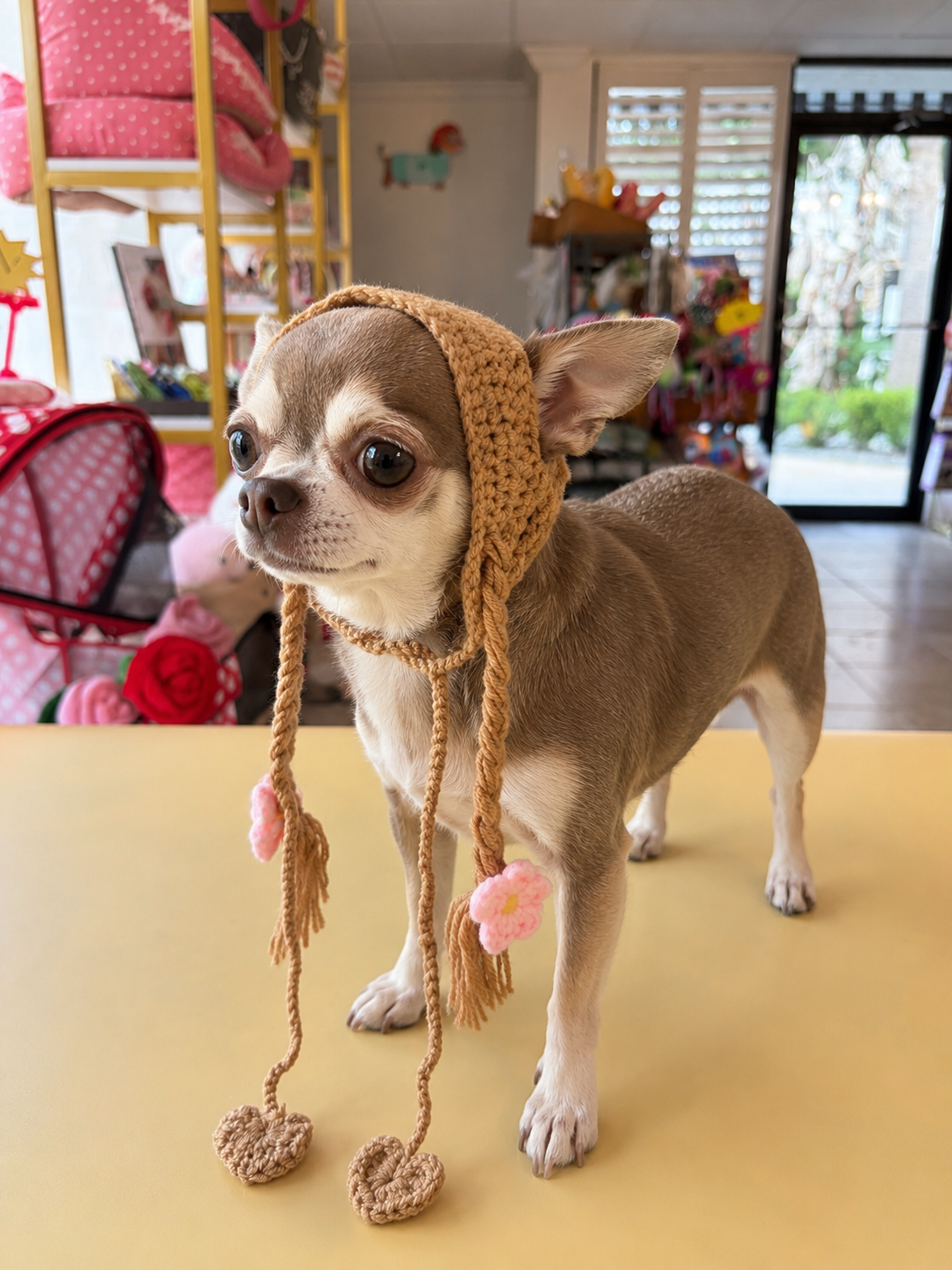Handmade Crochet Puppy Bonnet Hat – Vintage Cottagecore Dog Hood with Floral Tassels for Small Dogs & Cats
