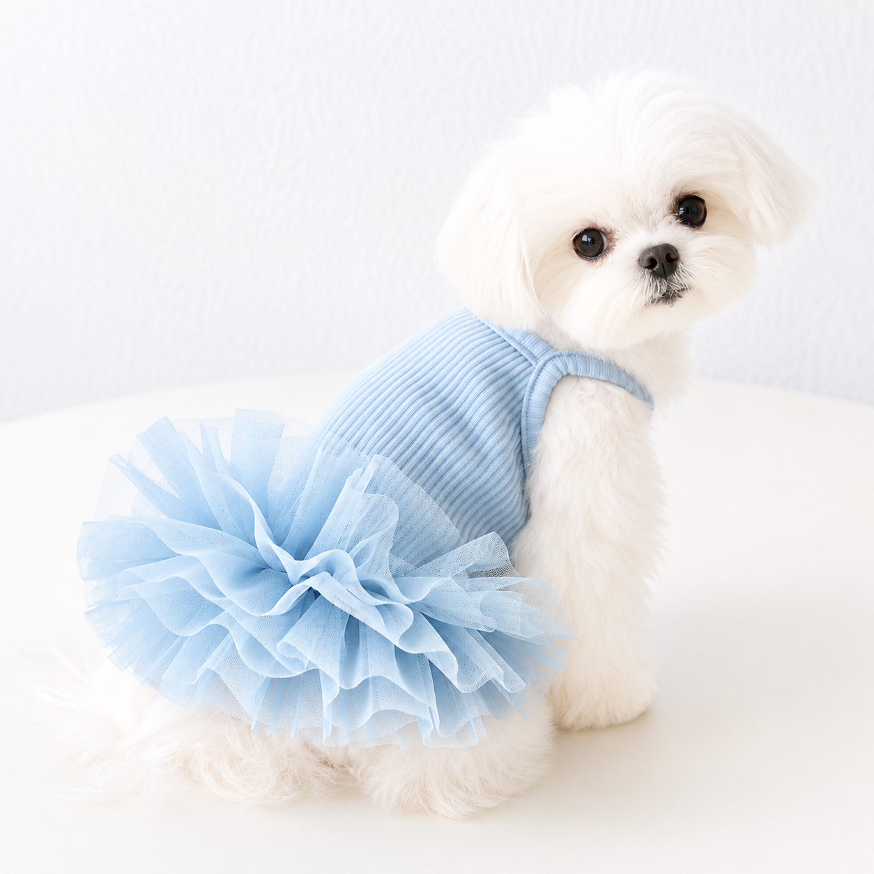 Blue & Green Pet Tutu Dress for Dogs – Ribbed Knit Ballet Puppy Dress with Fluffy Tulle Skirt for Small Dogs
