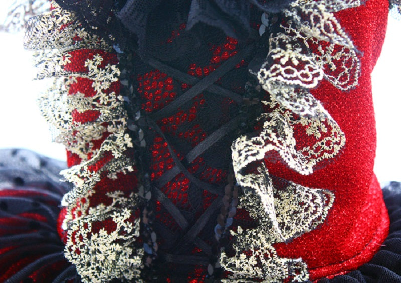 Red Gothic Princess Dog Dress – Luxury Victorian Puppy Ball Gown with Black Lace Crinoline Skirt