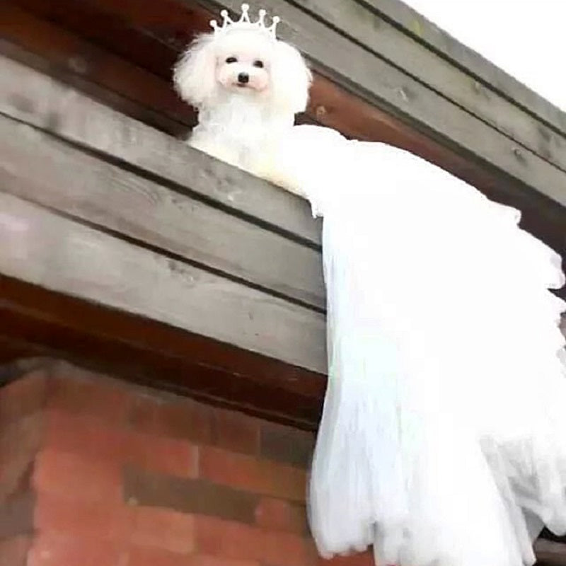 Handmade Ivory Angel Bridal Dog Dress – Luxury Long Train Wedding Gown for Dogs