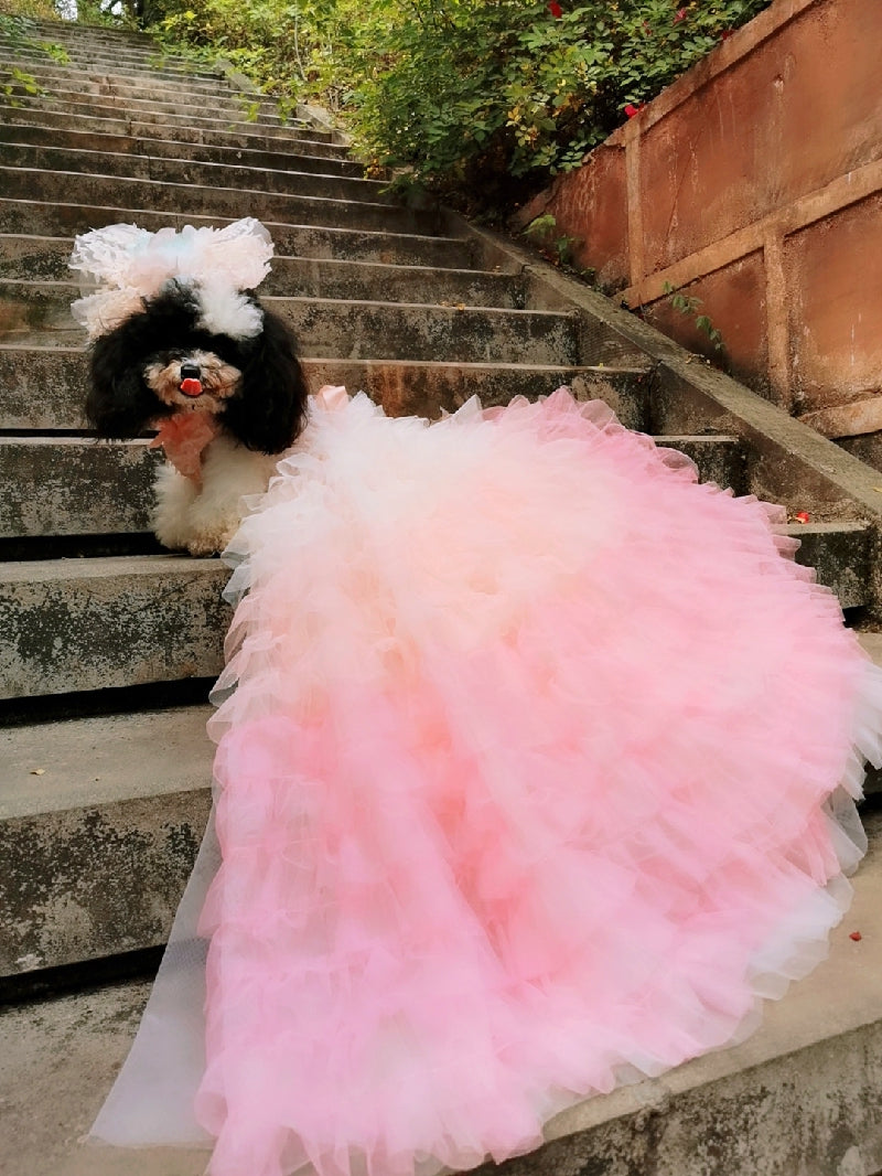 Blush Pink Layered Princess Dog Dress – Luxury Ruffle Puppy Gown with Ombre Tulle Train