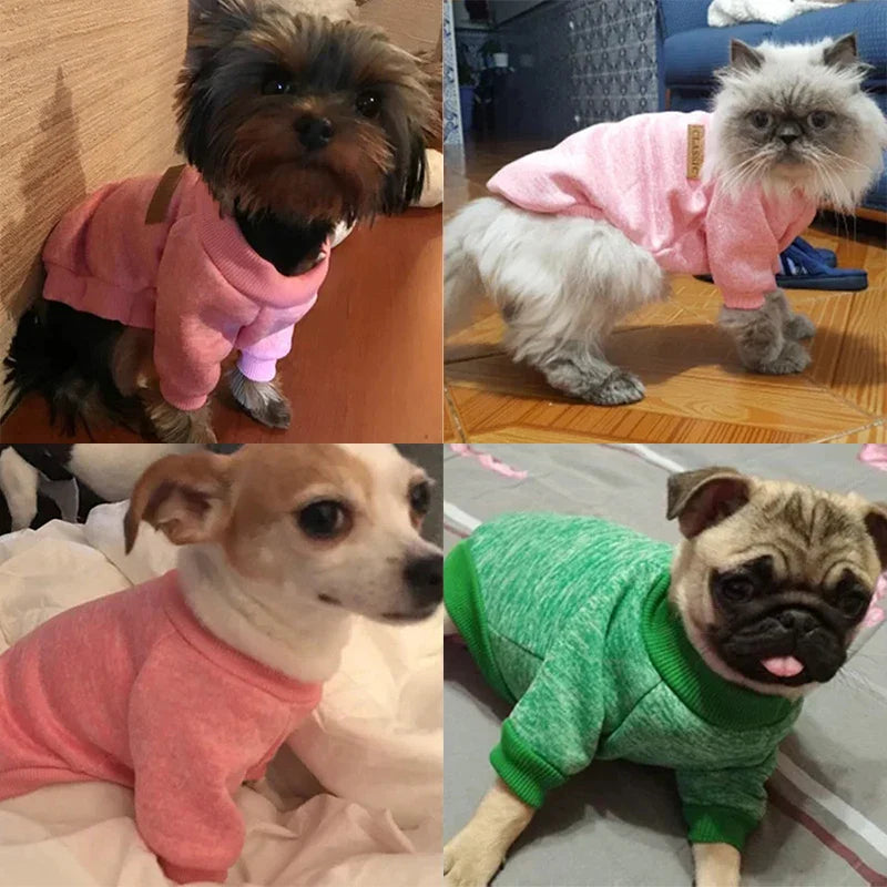 Cat Clothes For Medium Small Dogs Pet Coat Sweatshirt XS-2XL