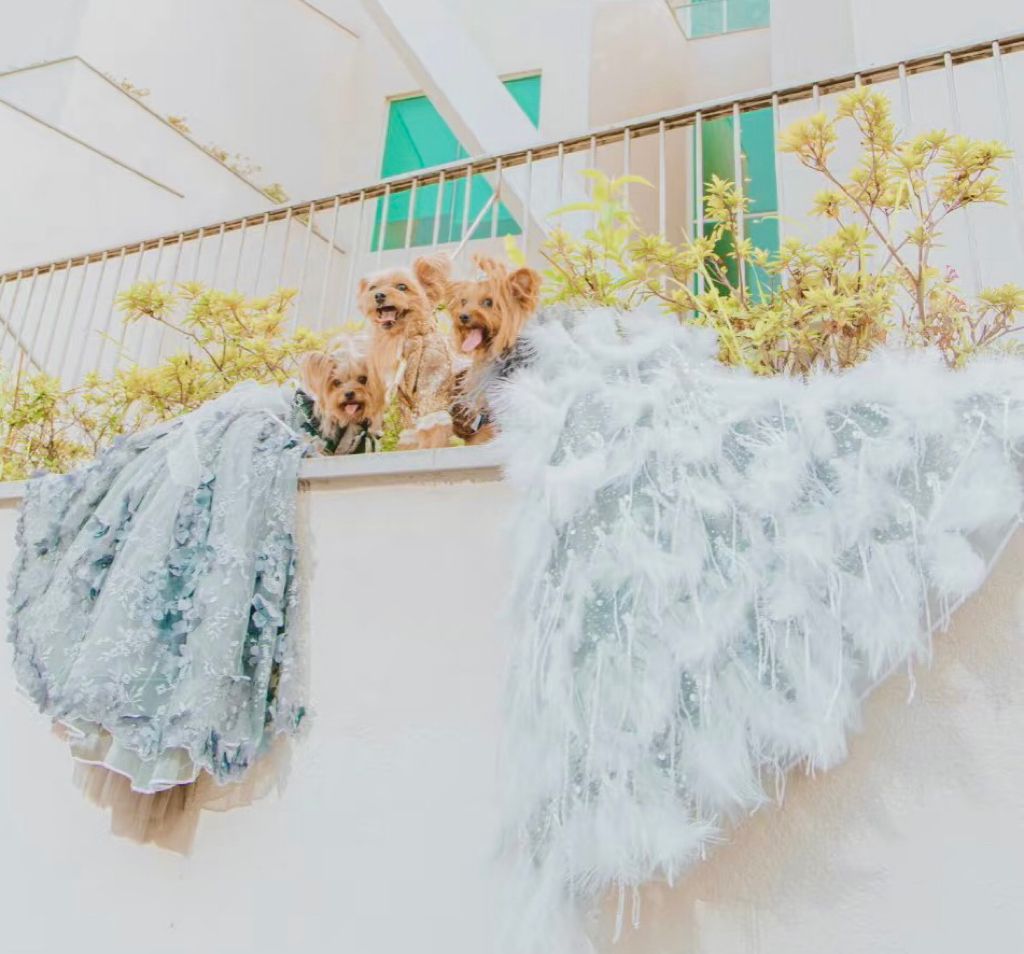Silver Swan Feather Couture Dog Dress – Luxury Crystal Wedding Gown with Feather Train & Pearl Details