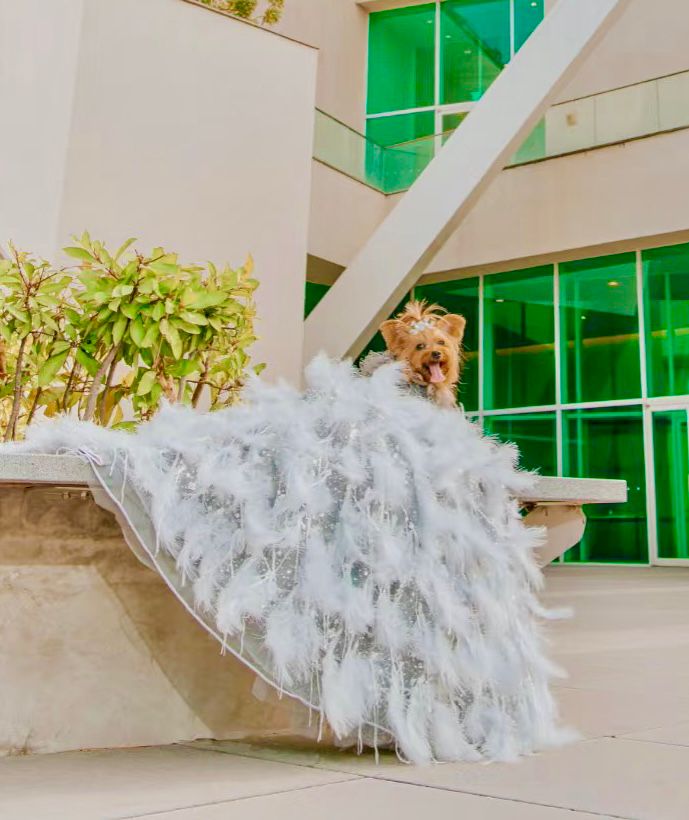 Silver Swan Feather Couture Dog Dress – Luxury Crystal Wedding Gown with Feather Train & Pearl Details