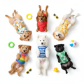 Six small dogs wearing colorful summer shirts and vests